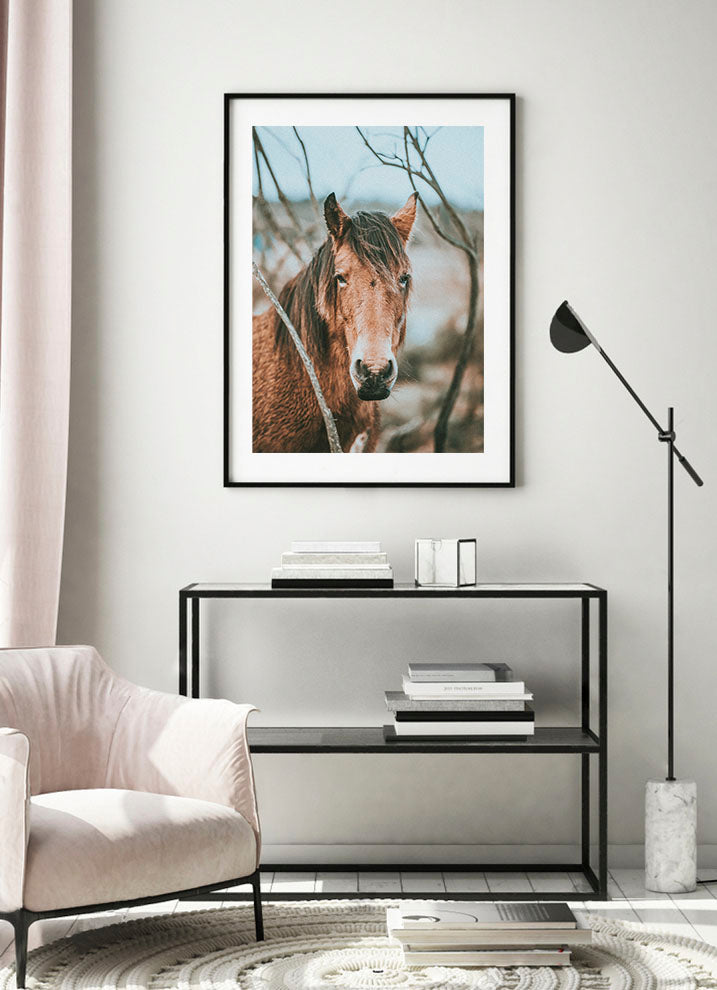 BROWN HORSE POSTERPosterFinger Art PrintsMARY & FAP