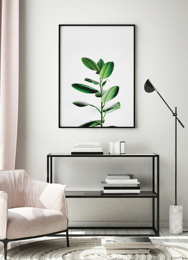 FICUS PLANT POSTERPosterFinger Art PrintsMARY & FAP