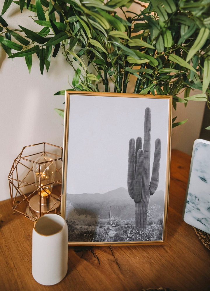 BLACK AND WHITE CACTI POSTER, Poster, 0? - 50?, A4 (21 x 29.7 cm), A3 (29.7 x 42 cm), A3+ (32.9 x 48.3 cm), _tab_product-description-matte, _tab_shipping-and-returns, _tab_size-chart, ALL POSTERS, Bedroom, Bestsellers,