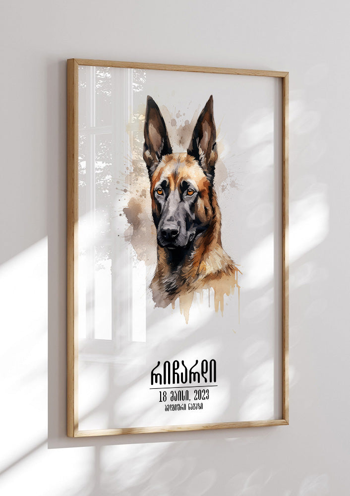 Belgian Shepherd Malinois