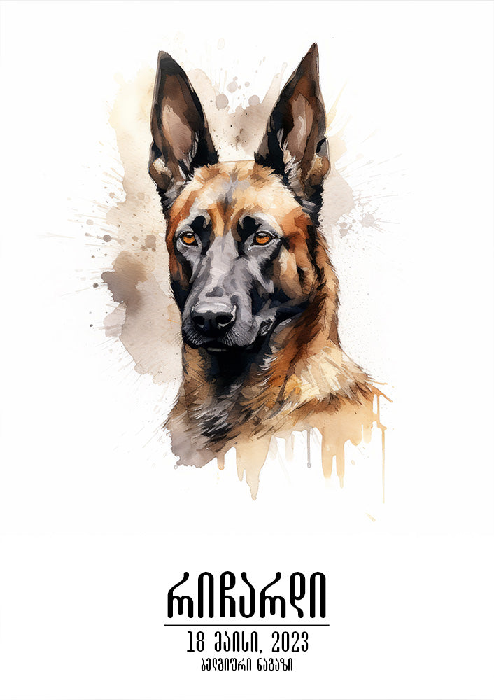 Belgian Shepherd Malinois