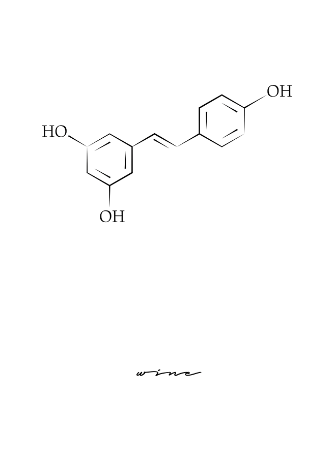 WINE MOLECULE POSTER