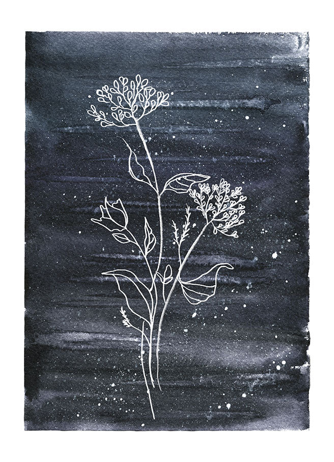 Elegant Botanical Line Art on Midnight Blue Canvas