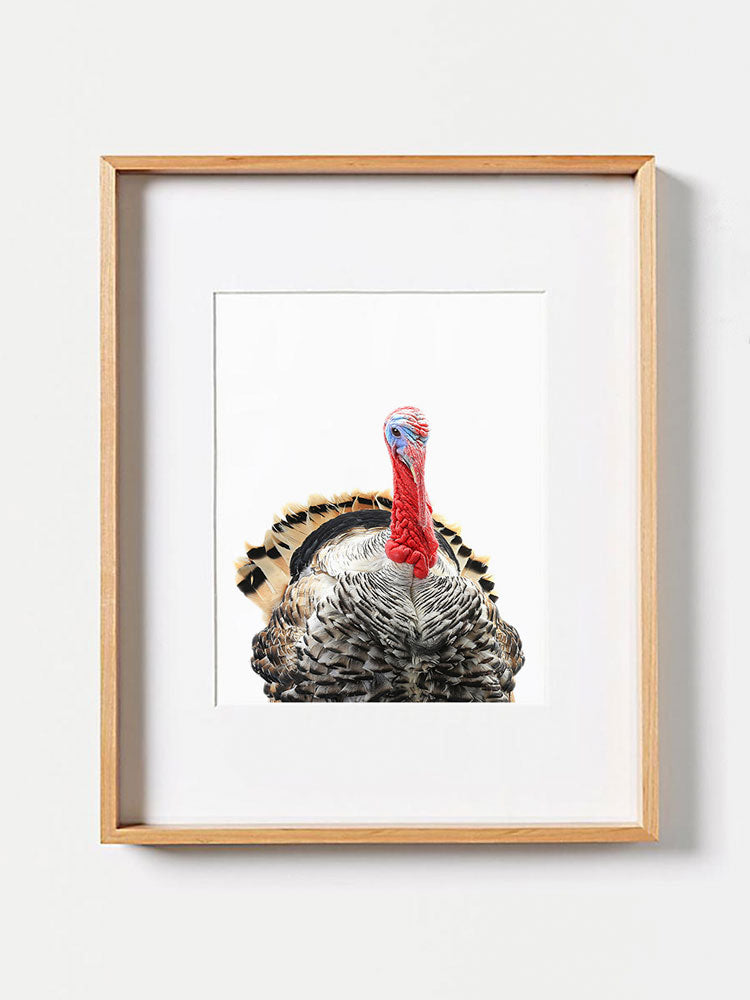 Turkey PosterPosterMARY & FAPMARY & FAP