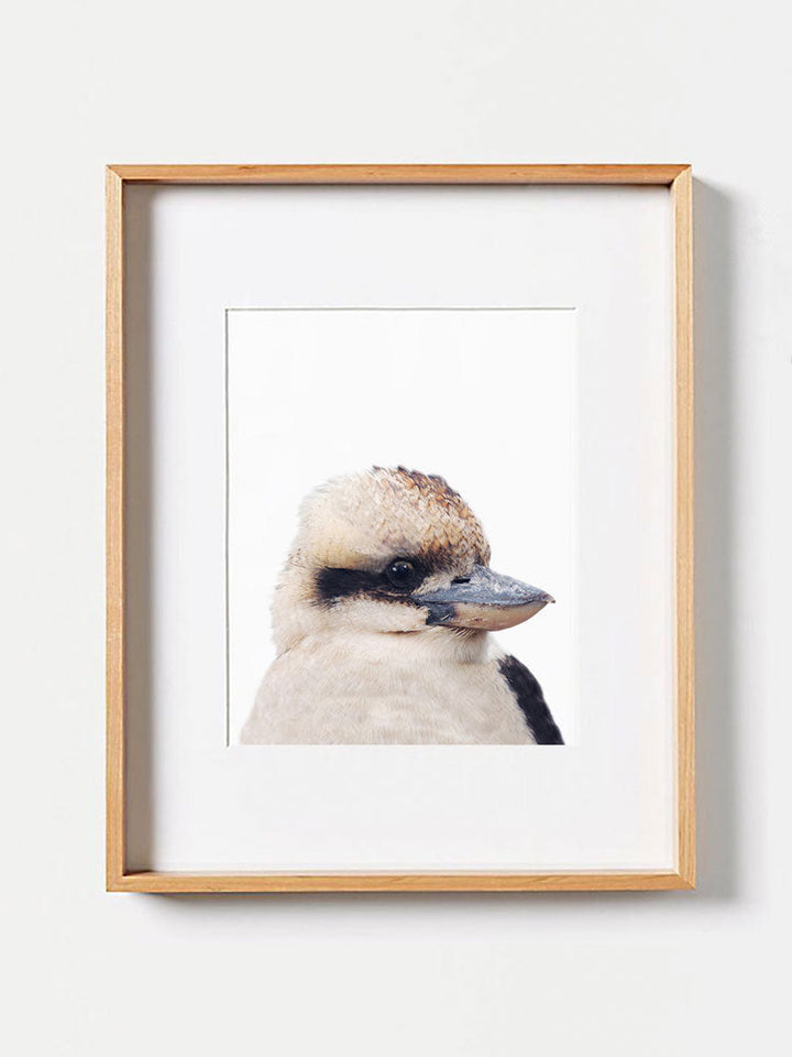 Baby Kookaburra PosterPosterMARY & FAPMARY & FAP