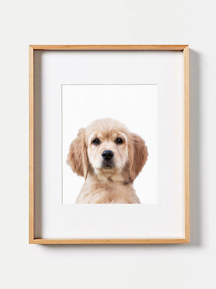 Baby Golden Retriever PosterPosterMARY & FAPMARY & FAP