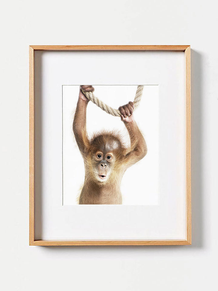 Baby Orangutan PosterPosterMARY & FAPMARY & FAP