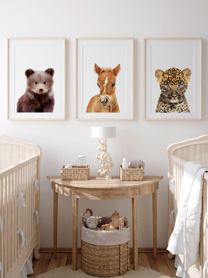 Baby Bear Poster, Poster, 0? - 50?, A4 (21 x 29.7 cm), A3 (29.7 x 42 cm), A3+ (32.9 x 48.3 cm), 8*10" in, _tab_product-description-matte, _tab_shipping-and-returns, _tab_size-chart, ALL POSTERS, Baby Animals, Brown, Kids,