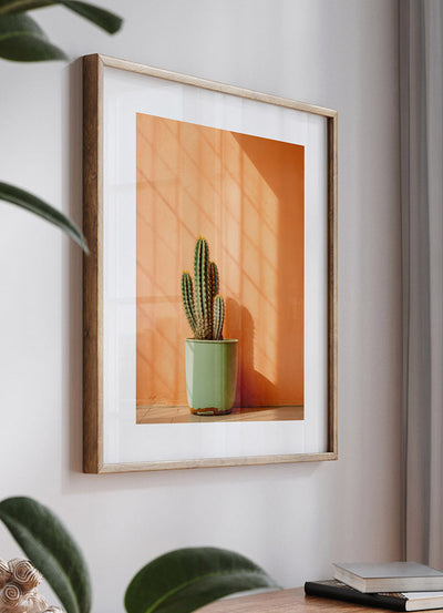 Vibrant Cactus Display
