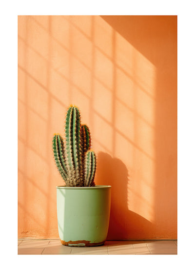 Lebendige Kaktus-Anzeige