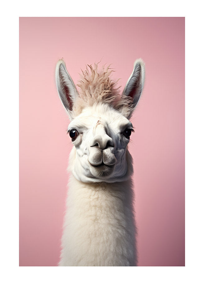 Delicate Minimalist Llama