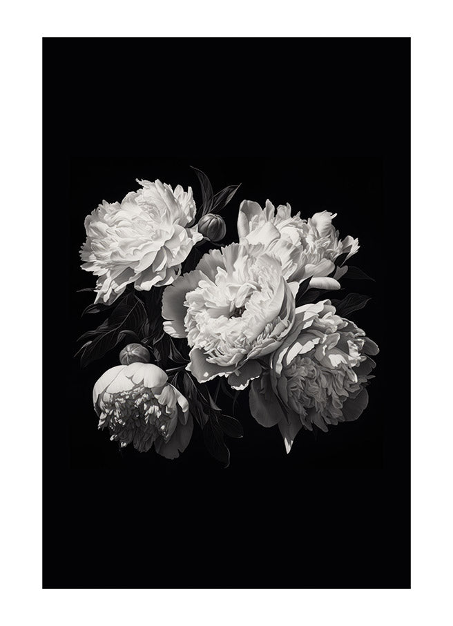 Enchanting Peonies Illustration