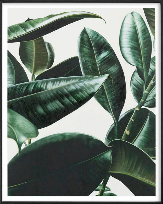 FICUS LEAVES POSTERPosterFinger Art PrintsMARY & FAP