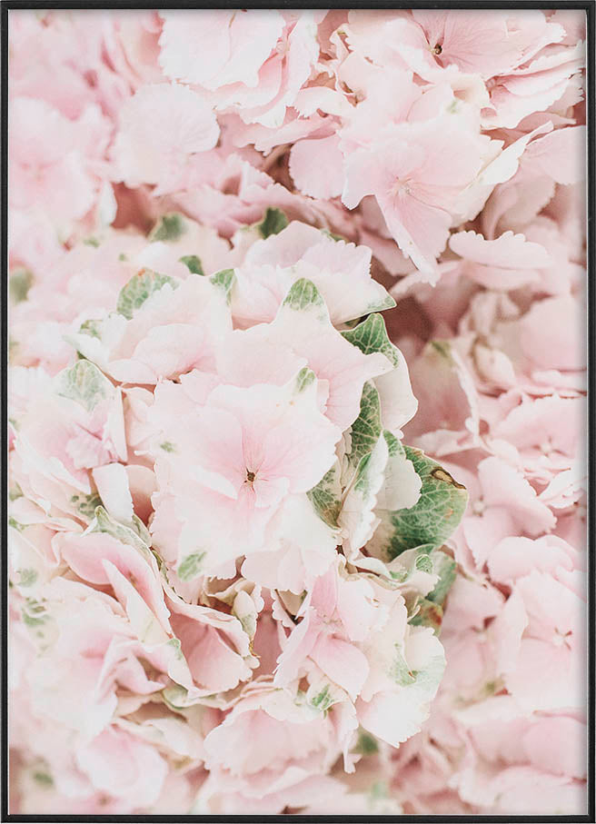 FLOWERS PINK POSTERPosterFinger Art PrintsMARY & FAP