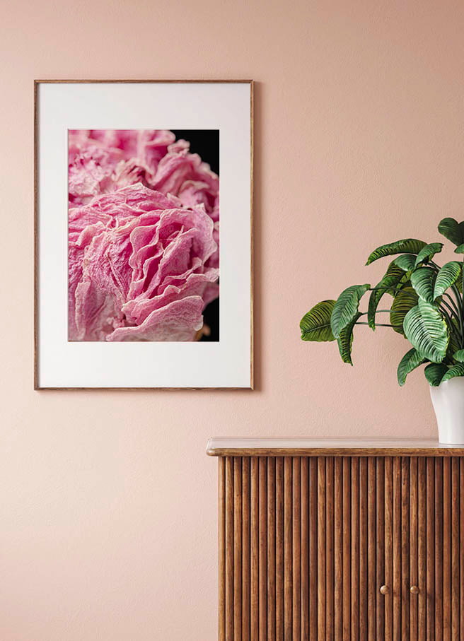 DRIED PEONY FLOWERPosterMARY & FAPMARY & FAP