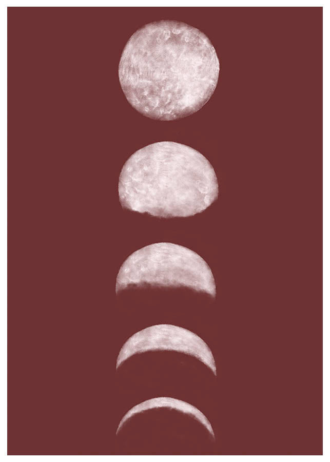 moon phases N2 posterPosterMARY & FAPMARY & FAP