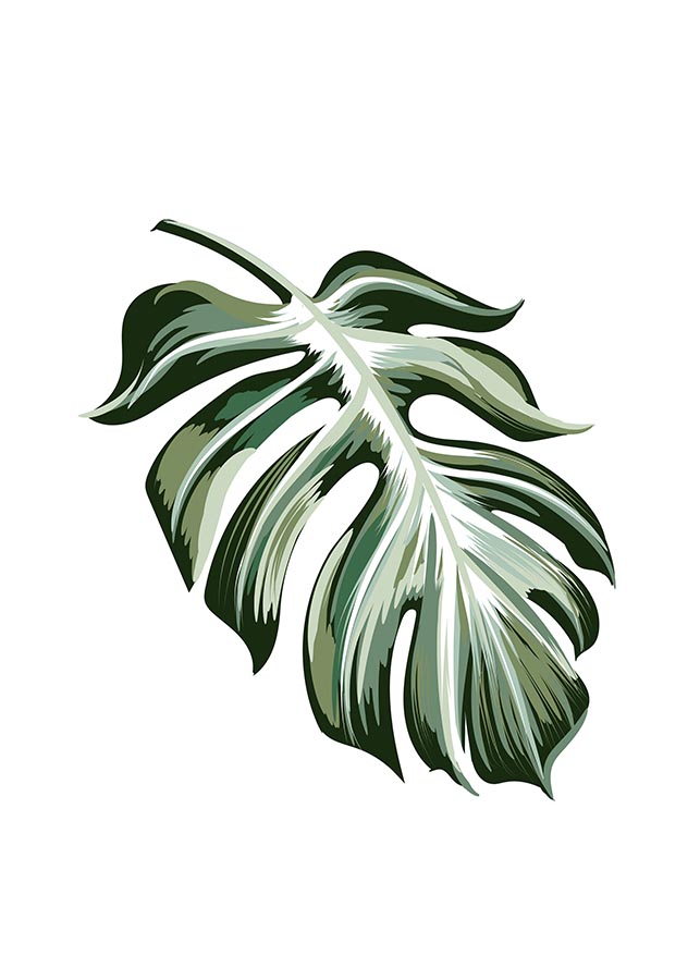 Monstera leaf illustration posterPosterMARY & FAPMARY & FAP