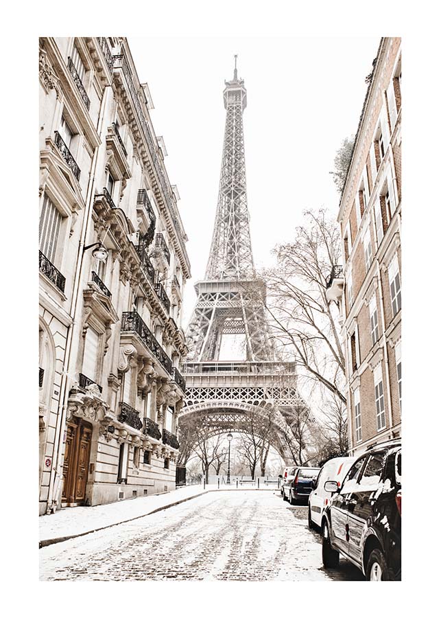 PARIS IN WINTERPosterMARY & FAPMARY & FAP