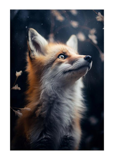 Mystical Fox Gaze - Wildlife Photography