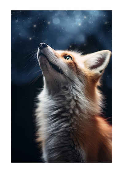 Fuchs blickt in den Sternenhimmel