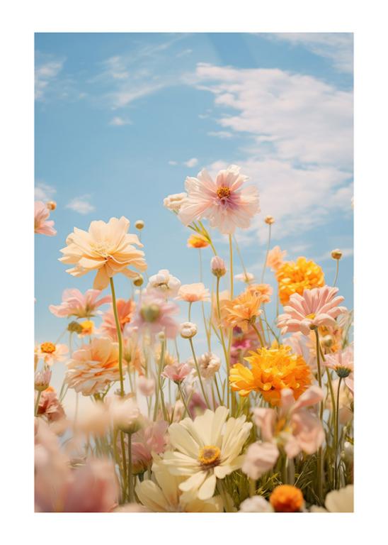 Blooming Flowers Under Blue Sky