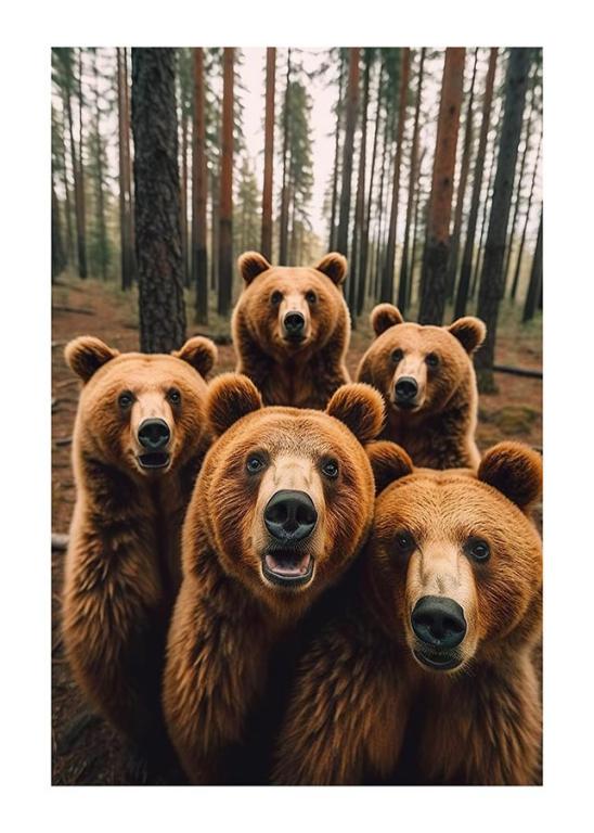 Faszinierendes Bären-Selfie