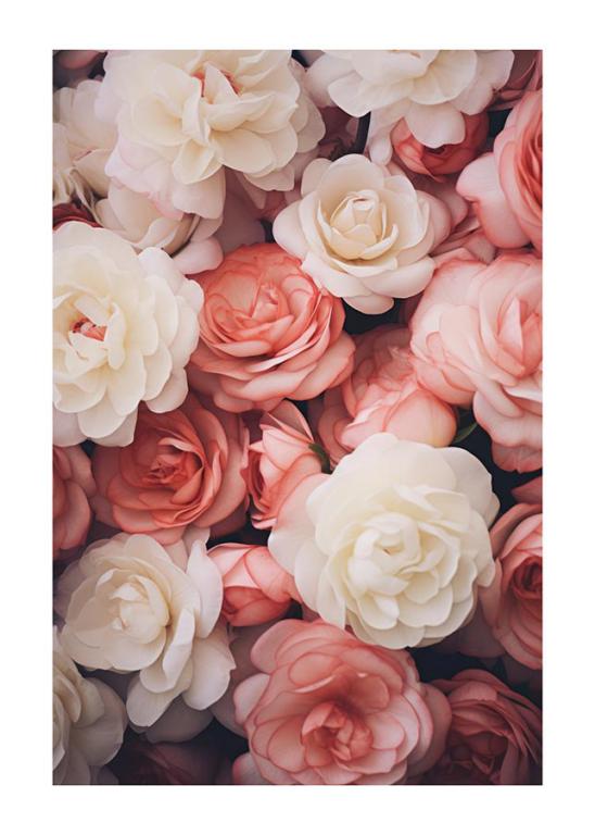 Verträumte rosa und weiße Blüten