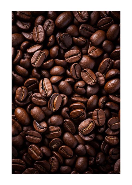  Roasted Coffee Beans