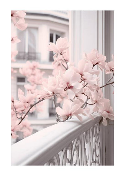 Parisian Springtime: Magnolias in Bloom