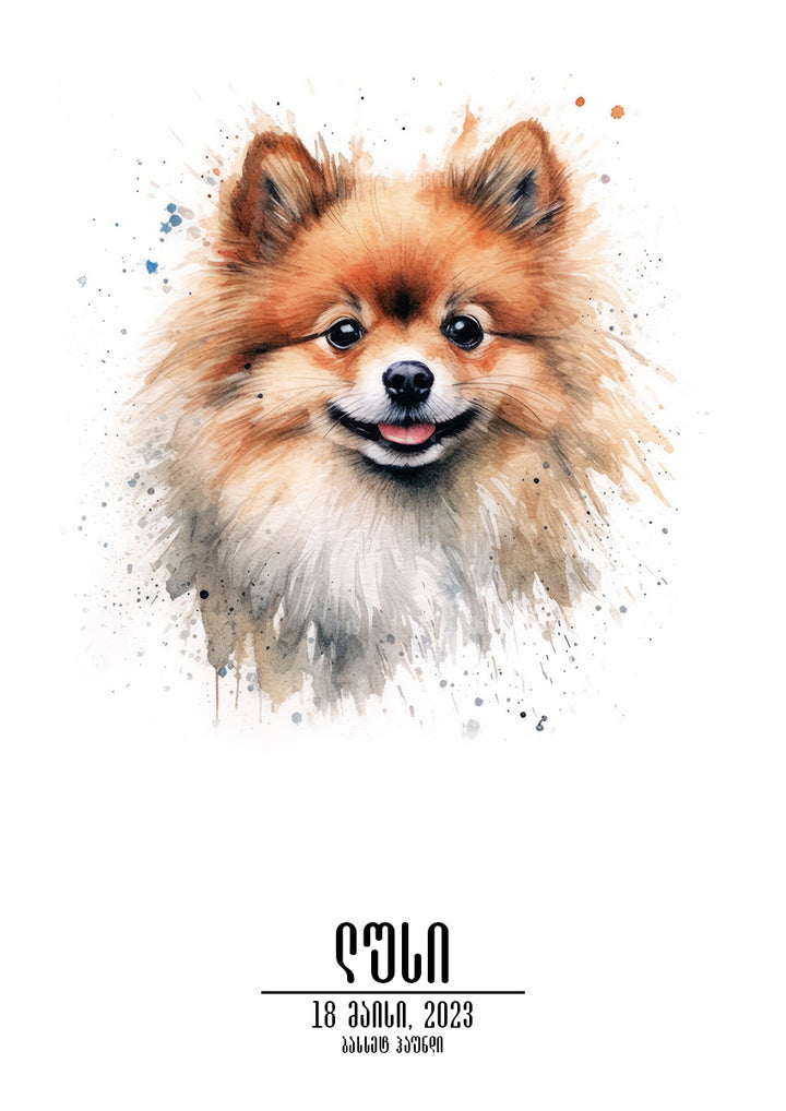 Pomeranian Personalized Poster