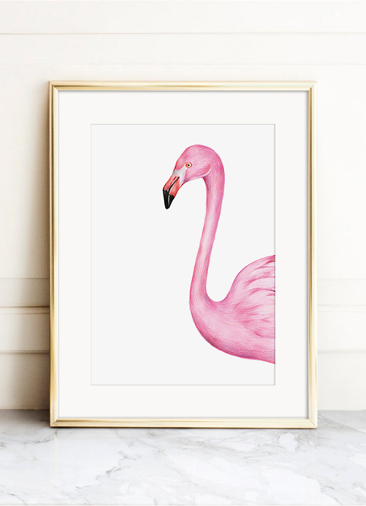 FLAMINGO PASTEL POSTERPosterFinger Art PrintsMARY & FAP