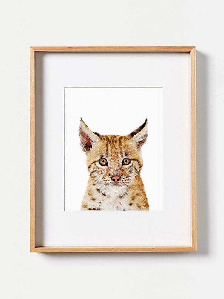 Baby Lynx Cub PosterPosterMARY & FAPMARY & FAP