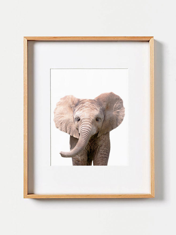 Baby Elephant PosterPosterMARY & FAPMARY & FAP