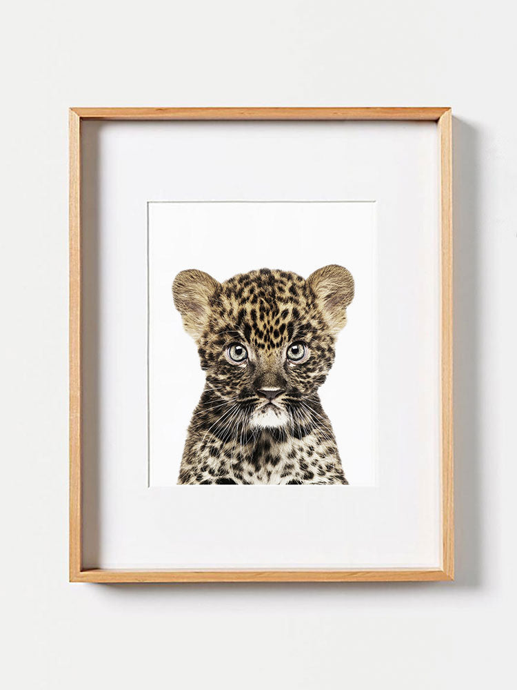 Baby Leopard Cub PosterPosterMARY & FAPMARY & FAP