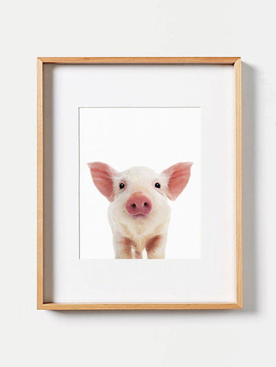 Baby Pig PosterPosterMARY & FAPMARY & FAP