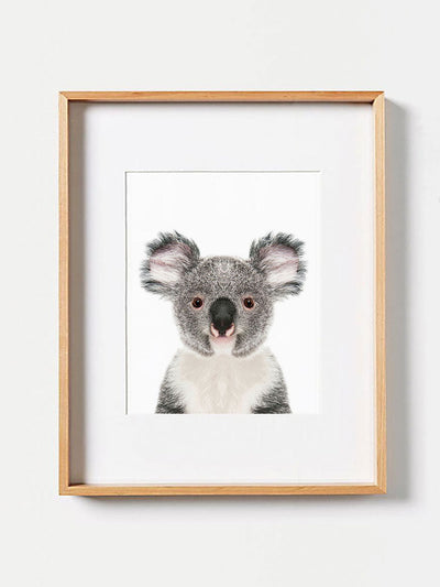 Baby Koala Bear PosterPosterMARY & FAPMARY & FAP