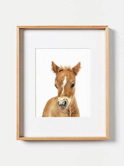 Baby Horse  PosterPosterMARY & FAPMARY & FAP