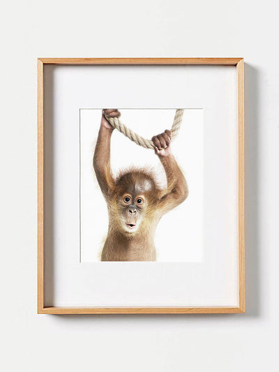 Baby Orangutan PosterPosterMARY & FAPMARY & FAP