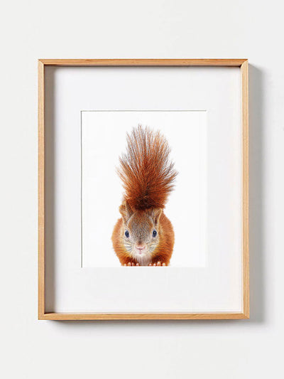 Baby Red Squirrel PosterPosterMARY & FAPMARY & FAP