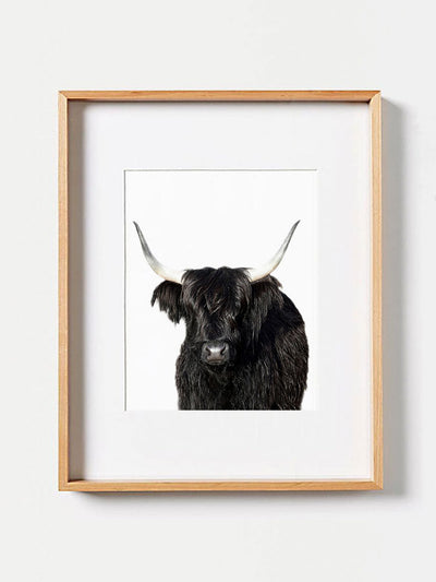 Highland Cow PosterPosterMARY & FAPMARY & FAP