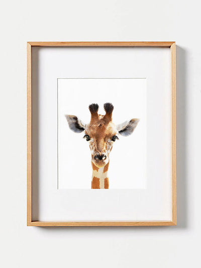 Baby Giraffe PosterPosterMARY & FAPMARY & FAP