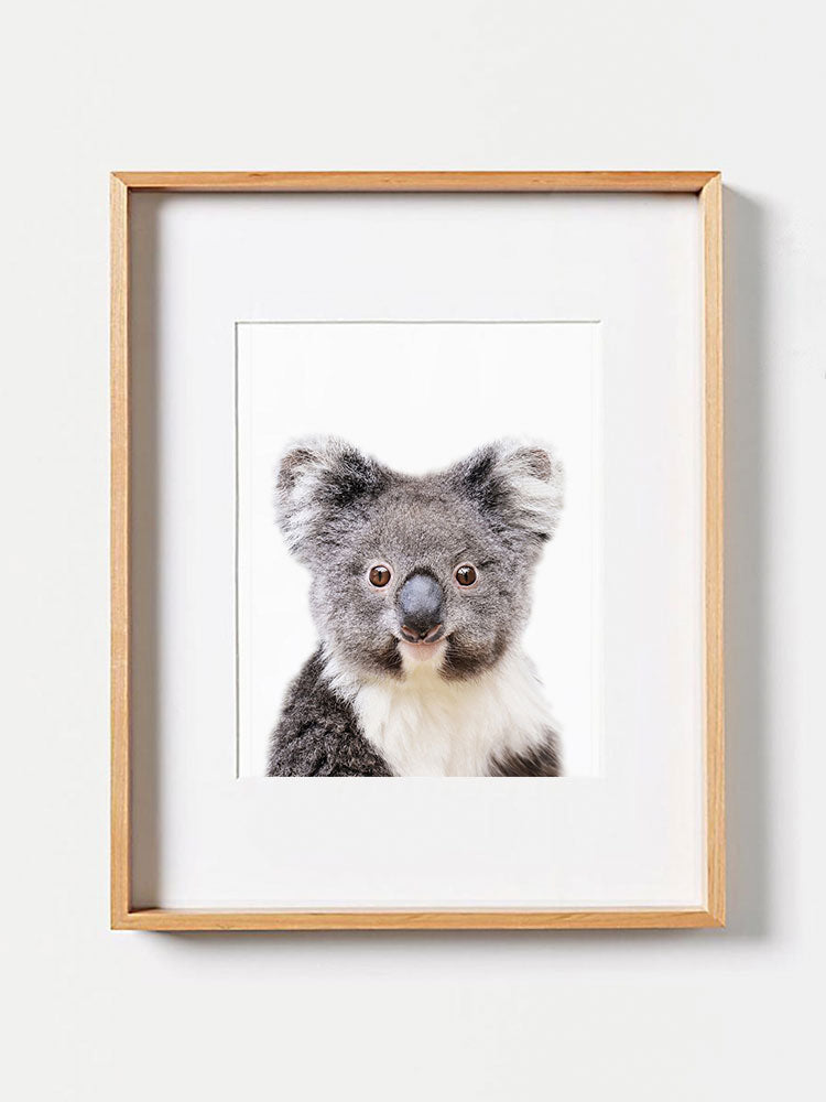 Baby Cute Koala PosterPosterMARY & FAPMARY & FAP