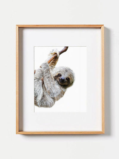 Baby Sloth PosterPosterMARY & FAPMARY & FAP