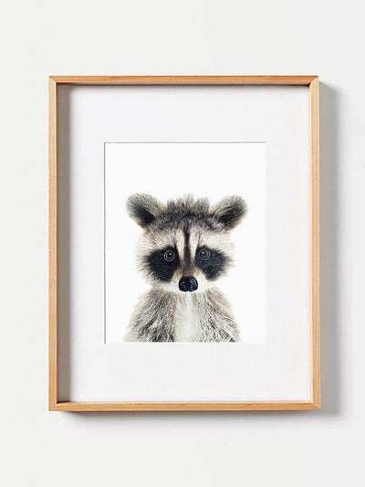 Baby Raccoon PosterPosterMARY & FAPMARY & FAP