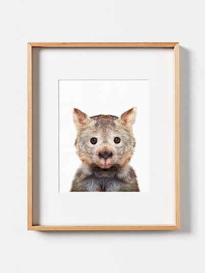 Baby Wombat  PosterPosterMARY & FAPMARY & FAP