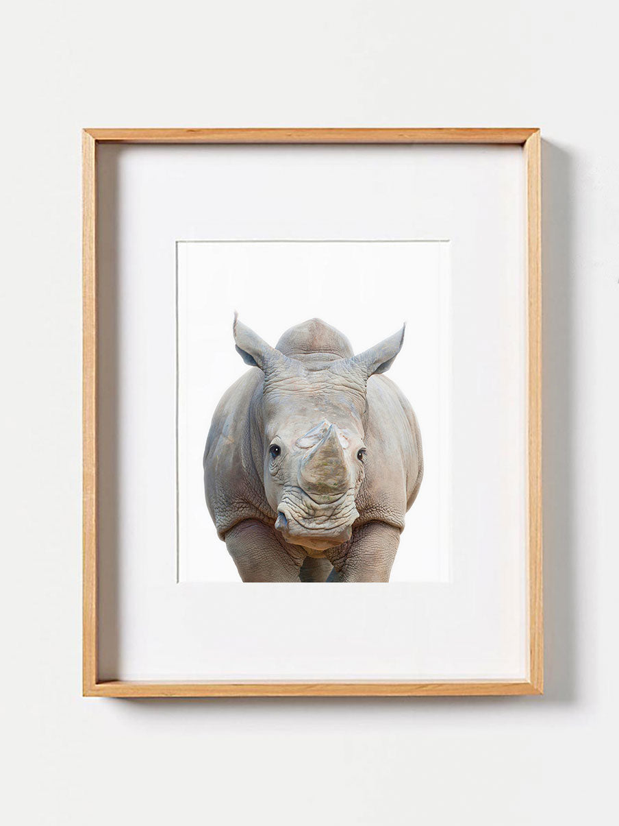 Baby Rhino PosterPosterMARY & FAPMARY & FAP