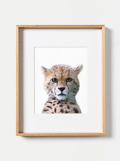 Baby Cheetah PosterPosterMARY & FAPMARY & FAP