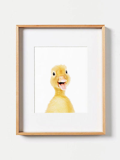 Baby Duckling PosterPosterMARY & FAPMARY & FAP