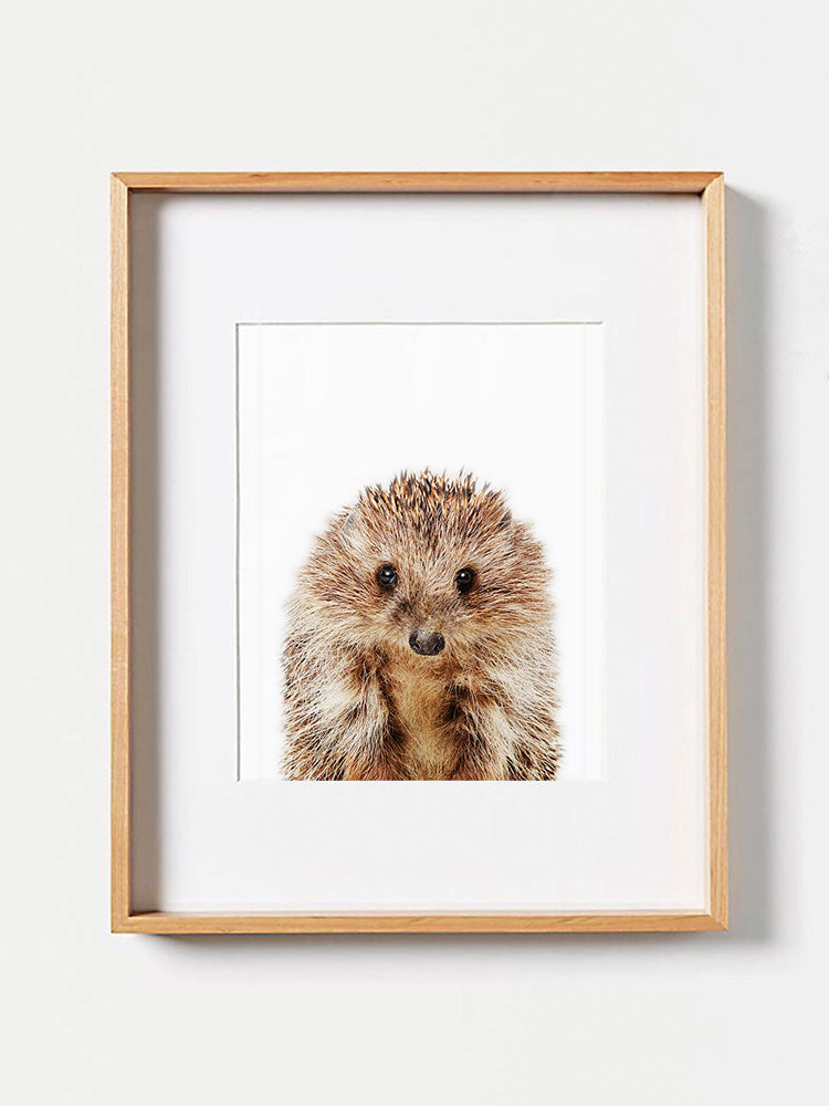 Baby Hedgehog PosterPosterMARY & FAPMARY & FAP