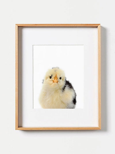 Baby Chicken PosterPosterMARY & FAPMARY & FAP